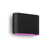 Philips Hue Dymera Indoor/Outdoor Wall Light | Smart RGBW | Black